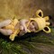 Giraffe Baby Hat and Diaper Cover Set product 1